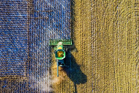 Agriculture